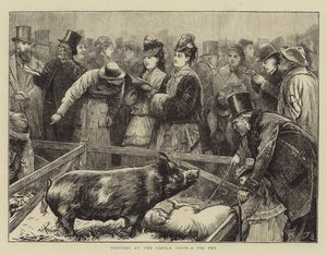 Visiteurs à l
